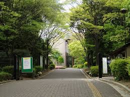 「相愛大学 音楽学部」」の大学概要・カリキュラム・入試の最新情報をご紹介！